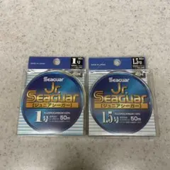 新品❗️ジュニアシーガー☆2個セット♪クレハのサムネイル