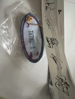 WHAT IS EXILE TETSUYA ガチャワッペンキーホルダー銀テープ