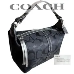 未使用級✨コーチ　アクセサリーポーチ　ワンショルダー シグネチャー タッセル　黒