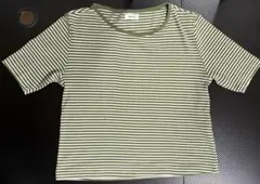 グリーンボーダー 半袖Tシャツ 韓国ファッション グリーンストライプ