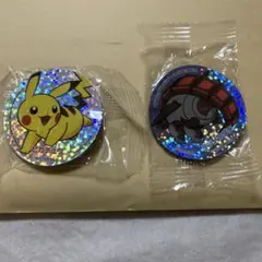 びっくらぽんくら寿司ポケモンマグネット2個セット