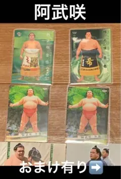 Item thumbnail for item a6f70e52-fba1-46d7-9556-0d70bb0707d4