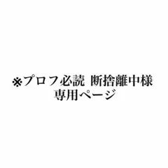 2026年最新】プロフ必読の人気アイテム - メルカリ
