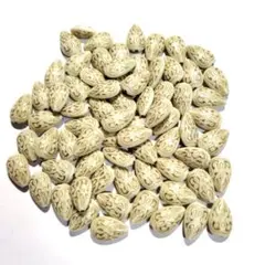 ⑨⓪ハンドメイド用ビーズ まとめ売り 雫型ホワイト×ゴールド 50g