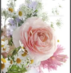 きいろ様専用　ZARAのダウンジャケット