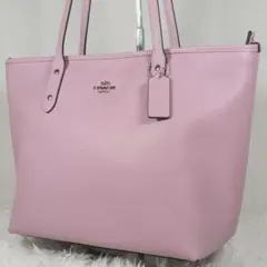 Item thumbnail for item 8c885ea9-b50c-4624-80f2-1aca479c9d6c