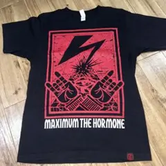マキシマムザホルモン パトカー燃やすTシャツ XL Yahoo!オークション - マキシマムザホルモン パトカー燃やす Tシャツ