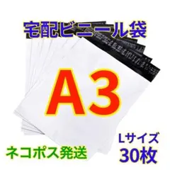 Item thumbnail for item 5e9b350e-5b9e-46a1-9b66-7cfa4183527d