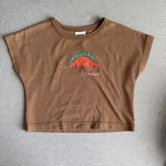 BREEZE 恐竜プリント ブラウン Tシャツ 95cm以下