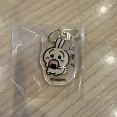 うさぎ アクリルキーホルダー ナガノマーケット　ガチャ