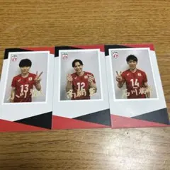 バレーボール スポーツ選手