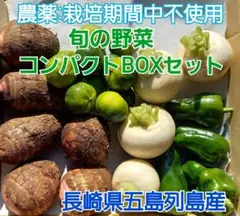 旬の野菜コンパクトBOXセット(ラインナップのご確認を)◎冬16 五島列島産