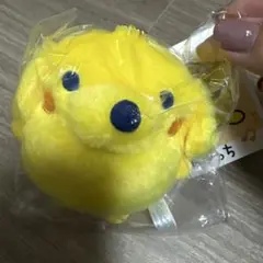 たまごっち ポチッチ ぬいぐるみ