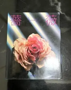 薔薇　山上るい著　文化出版社のサムネイル
