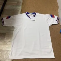 Item thumbnail for item 4ad12fb7-e624-45a1-a866-887523cca7c2