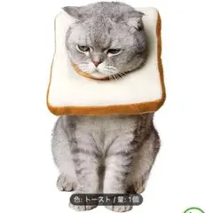 Item thumbnail for item 1db3b5b1-f251-460e-8d4a-df80fac1d907