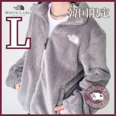 大人気色❗️韓国限定✨L ノースフェイス ボア フリース ジャケット GRAY