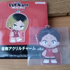 一番くじ　ハイキュー!!ゴミ捨て場の決戦2 H賞 音駒アクリルチャーム