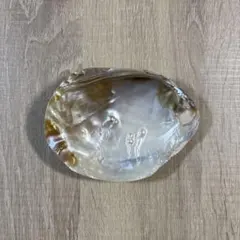 Item thumbnail for item b4d82313-5905-4175-b937-513668d4aa18