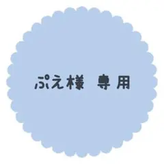 【ぷえ様 専用】