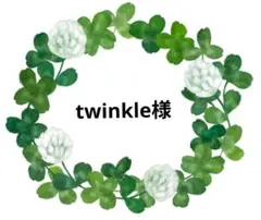twinkle様 リクエスト 2点 まとめ商品