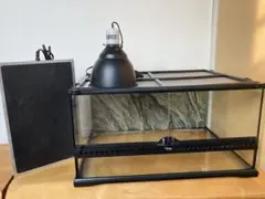 Item thumbnail for item c649c4d8-6896-4449-86f7-acc88969987b