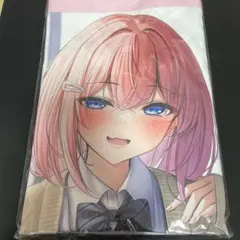 柏崎星奈様 リクエスト 2点 まとめ商品