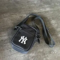 Item thumbnail for item b40f48c6-7e88-4e59-bf42-85266b4ef075