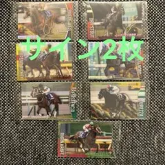 サラブレッドホースコレクション ブレイディヴェーグ　ドライスタウト　金箔サイン