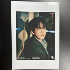 Straykids スキズ 5-star チャンビン　フォト　生写真 トレカ