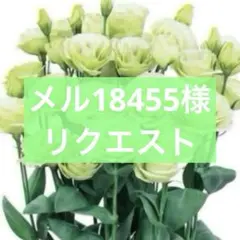 メル18455様 リクエスト 3点 まとめ商品