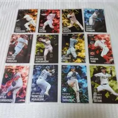 2025　プロ野球チップスカード　スターカード　12枚