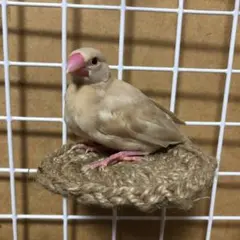 Item thumbnail for item be6a5739-cb29-4489-a1cc-4d46f61f98c6