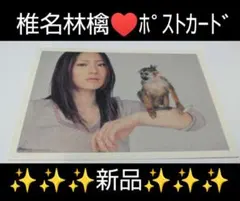 2026年最新】椎名林檎 ステッカーの人気アイテム - メルカリ