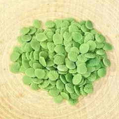 ミニチュア ミント 2ｇ ミニチュアスイーツ クレイケーキに 樹脂粘土 B