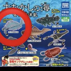 大むかしの海 古代海洋記　アノマロカリス