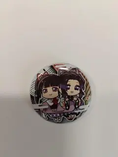 鬼滅の刃　胡蝶しのぶ　栗花落カナヲ　缶バッジ
