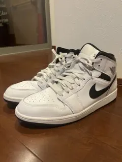 30.0 ナイキ エアジョーダン1 NIKE AIR JORDAN 1