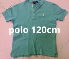 120cm 半袖　ポロpolo