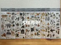 S様専用 大人の図鑑シール 16枚セット