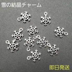送料無料！雪の結晶チャーム10個セット