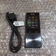 ソニーウォークマン　NW−A25　管理ナンバー6700