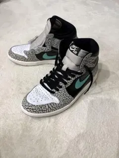 Nike Air Jordan 1 high OG カスタム