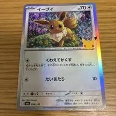 セブンイレブン限定！ポケモンカードBWスペシャルキラカード『イーブイ