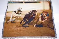 新品犬のレース グラフィックラグ 約130cm x 100cm