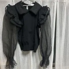 ZARA シースルー シアー トップス ブラウス オーガンジー