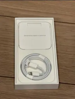 Apple iPhone 純正ライトニングケーブルTypeC 【未使用品】