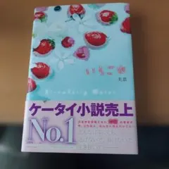 いちご水 美嘉 アスキー・メディアワークス