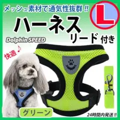 Item thumbnail for item 782b0d26-2200-48a5-8b21-d1592d05d156