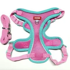 通気性⭐️犬用 メッシュハーネス＆リードセット　ピンク　ミント　愛犬　散歩　ペット